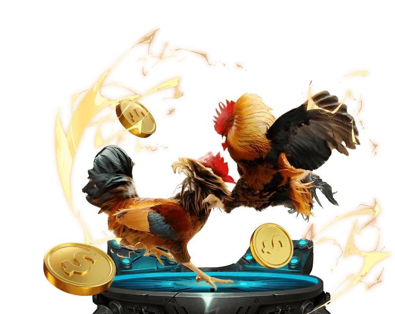 Chương Trình VIP và Phần Thưởng Độc Quyền